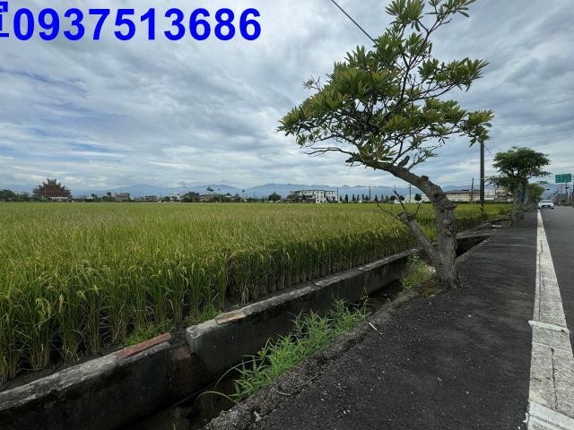 宜蘭壯圍農地-2