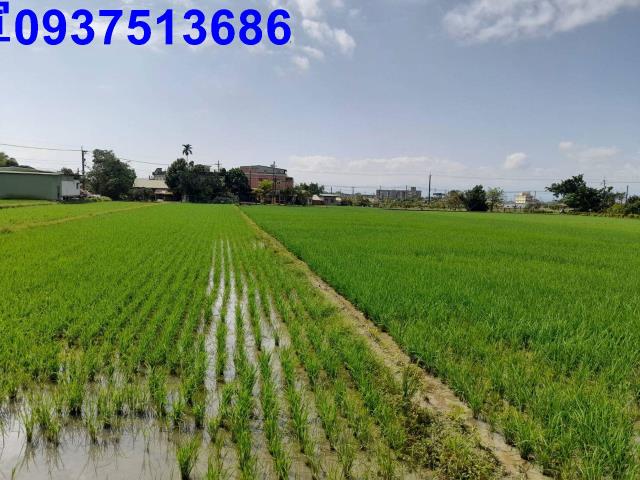 宜蘭壯圍農地-3