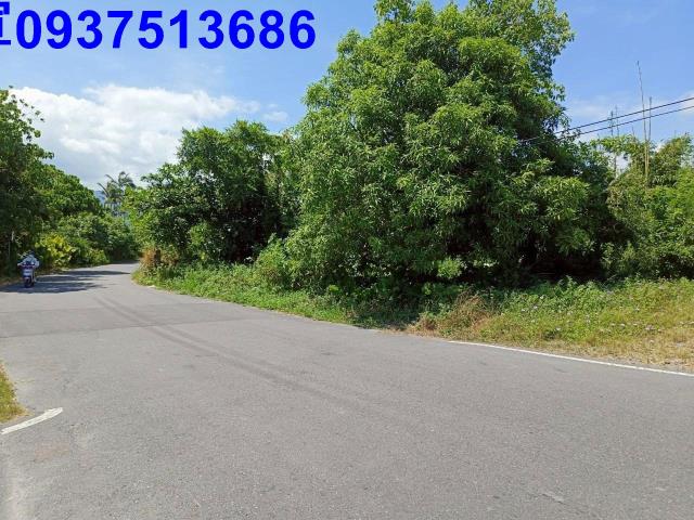 宜蘭羅東建地-5