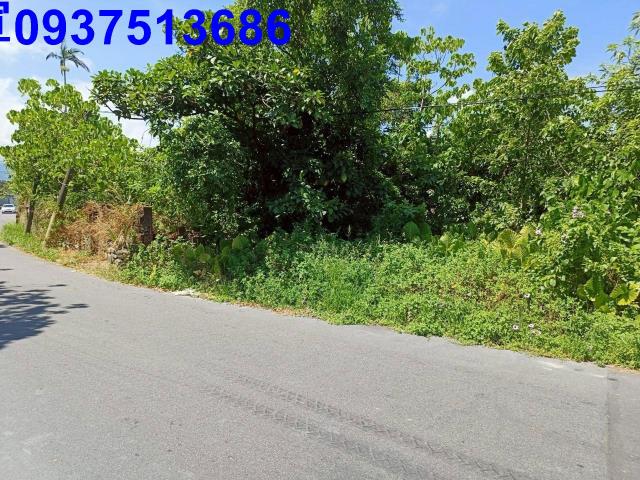 宜蘭羅東建地-8