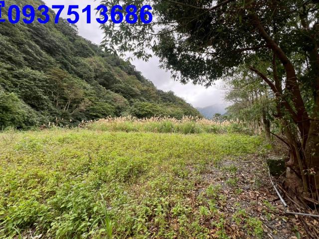 宜蘭員山農地-2