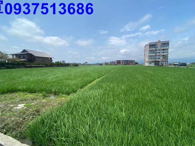 宜蘭壯圍農地-1