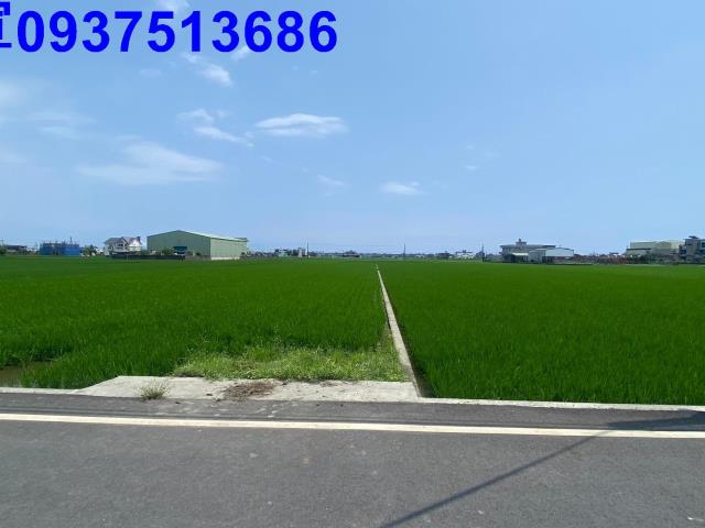 宜蘭壯圍農地-8