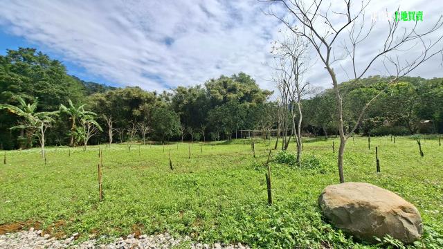 新竹農地-7