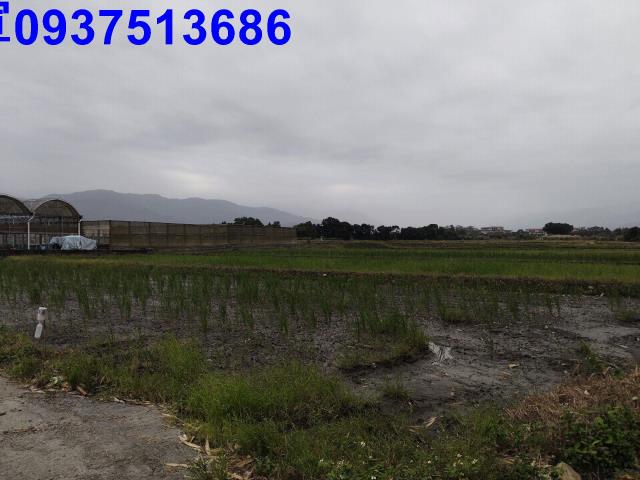 宜蘭三星農地-10