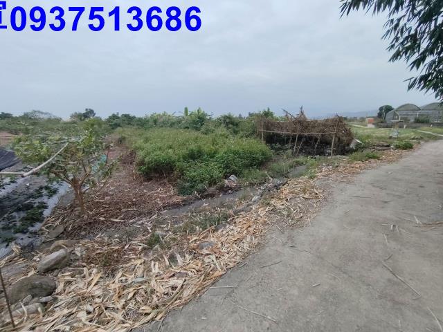 宜蘭三星農地-3