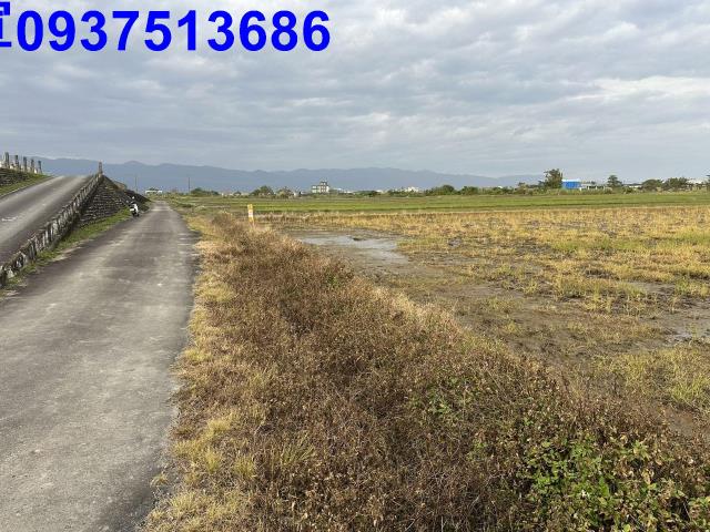 宜蘭壯圍農地-12