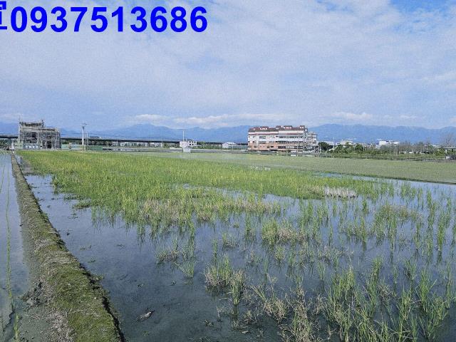 宜蘭壯圍農地-3