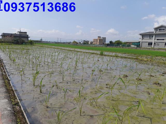 宜蘭礁溪農地-1