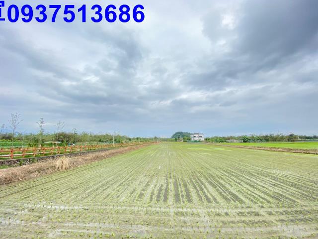 宜蘭宜蘭市農地-1