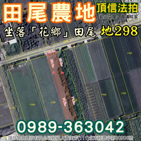 彰化田尾法拍農地-4