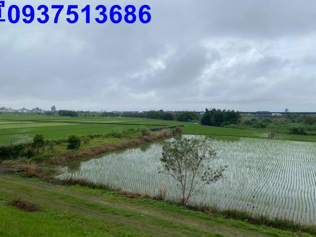 宜蘭宜蘭市農地-1