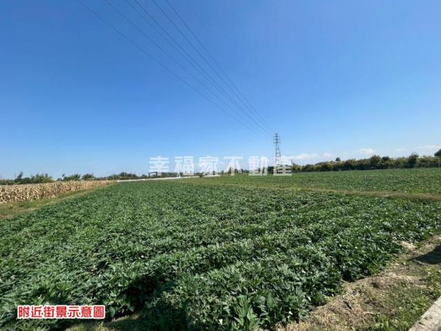 台南新化農地-10