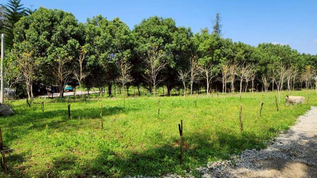 新竹橫山農地-11