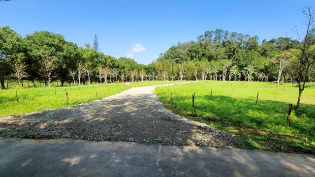 新竹橫山農地-1