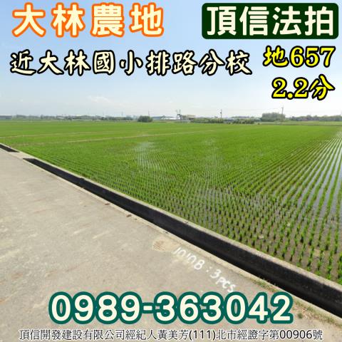 嘉義大林拍賣農地-2