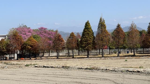 台中后里農地-4