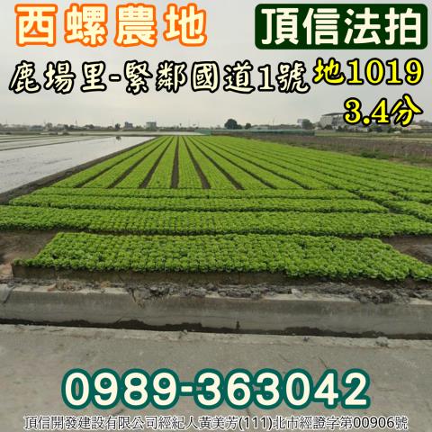 西螺農地拍賣-3