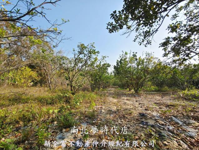 台南左鎮農地-6