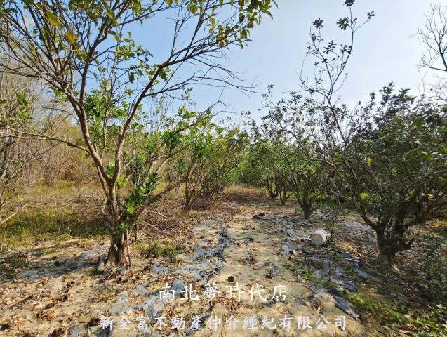 台南左鎮農地-8