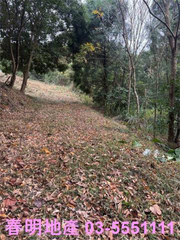 新竹芎林農地-10