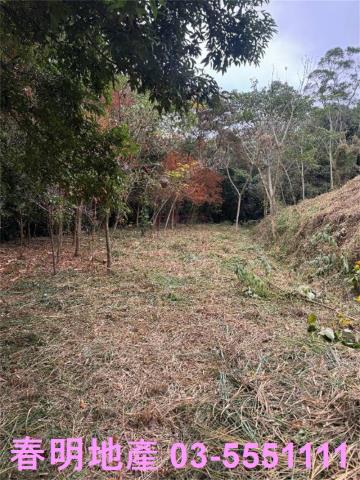 新竹芎林農地-9