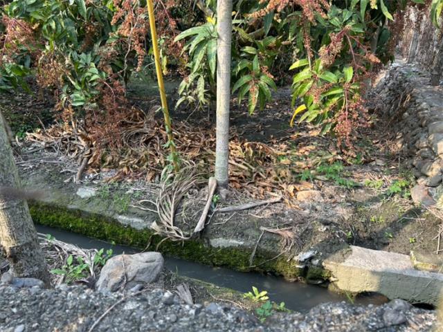 屏東鹽埔農地-8