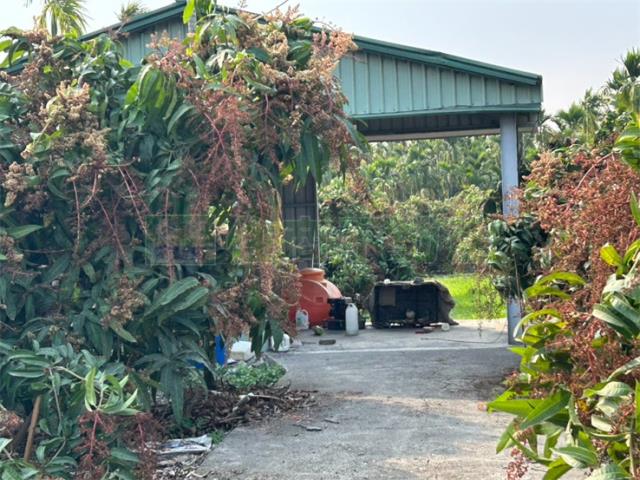 屏東鹽埔農地-9