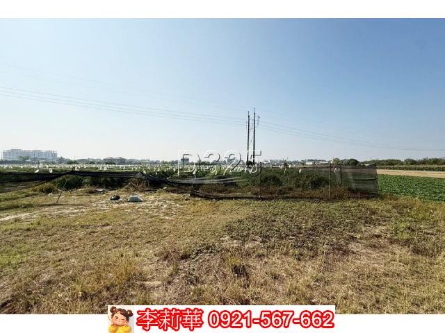 台南新市農地-13