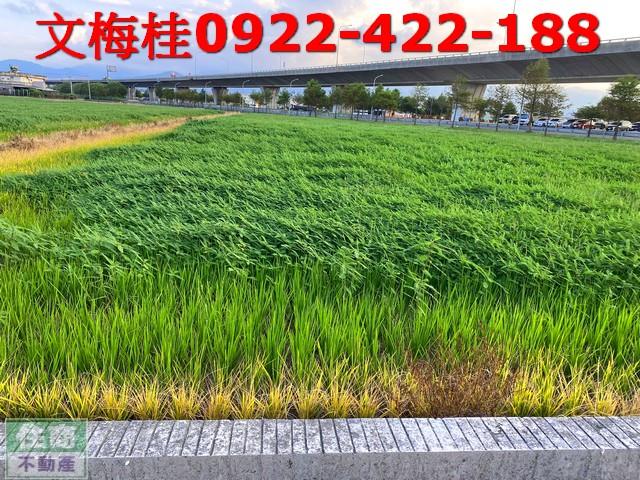 宜蘭羅東農地-3