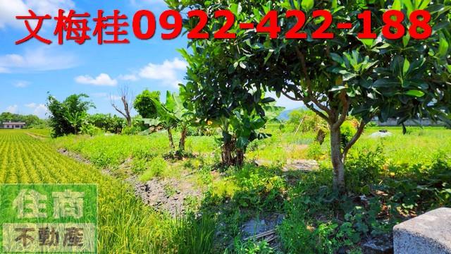 宜蘭農地-3