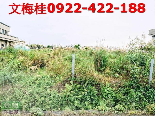 宜蘭宜蘭市農地-1