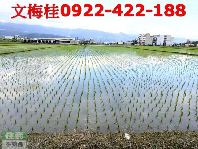 宜蘭宜蘭市農地-4