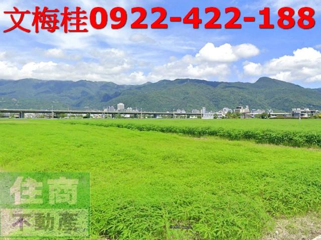 宜蘭礁溪農地-1