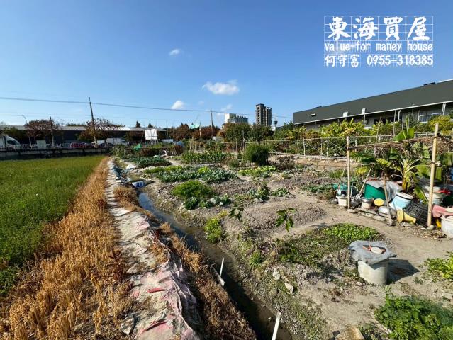 台中西屯農地-2