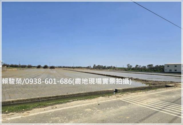 桃園觀音保興路農保田