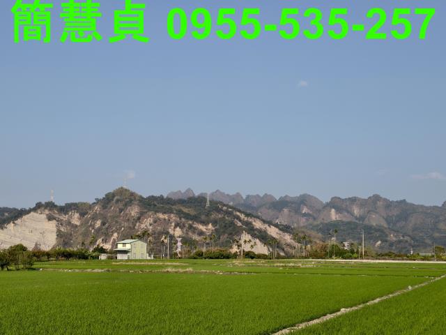 草屯農地-8