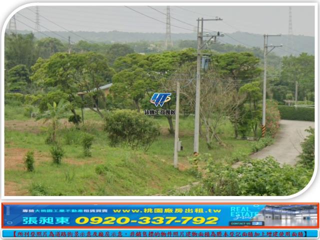 桃園龍潭農地-2