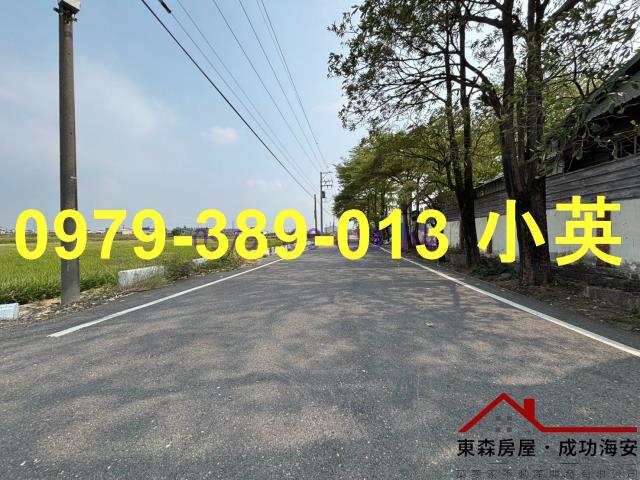 台南新市農地-10