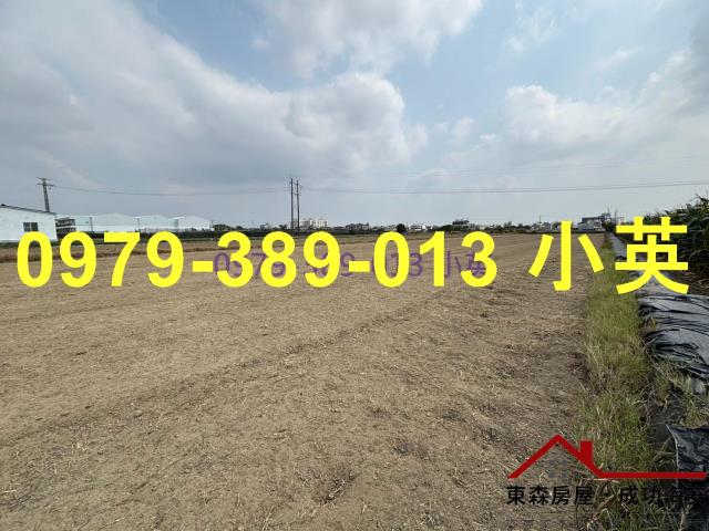 台南新市農地-1