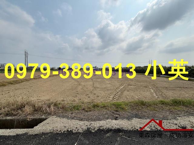 台南新市農地-3