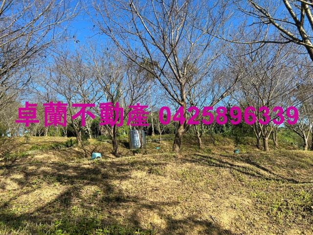 苗栗卓蘭農地-8