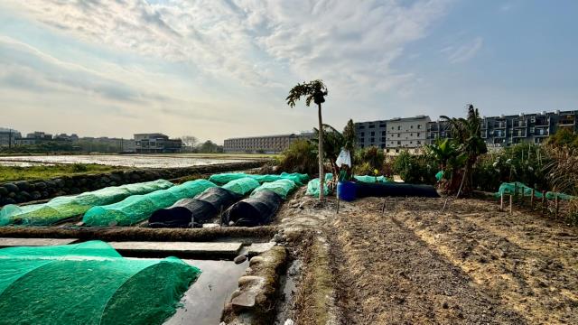 新竹芎林農地-6