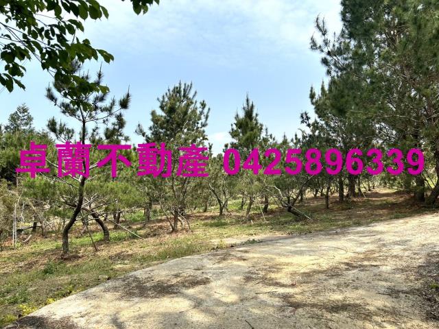 苗栗卓蘭農地-13