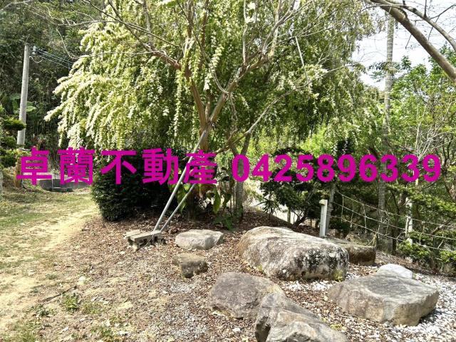 苗栗卓蘭農地-15