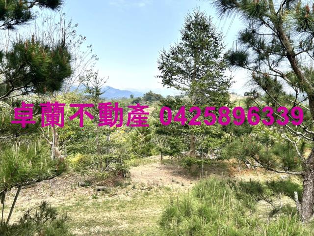 苗栗卓蘭農地-5