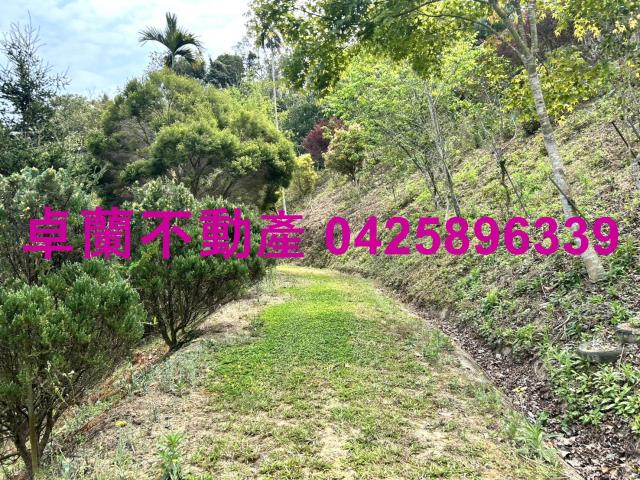 苗栗卓蘭農地-6