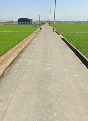 嘉義大林法拍農地-7