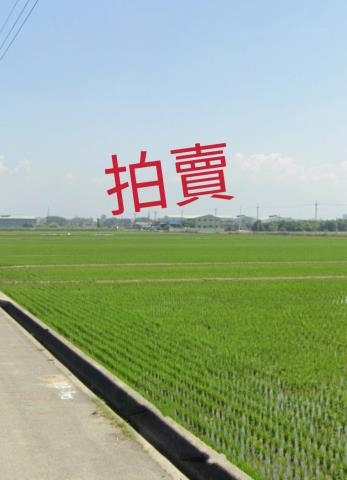 嘉義大林法拍農地-8