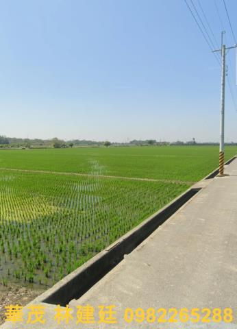 嘉義大林法拍農地-3